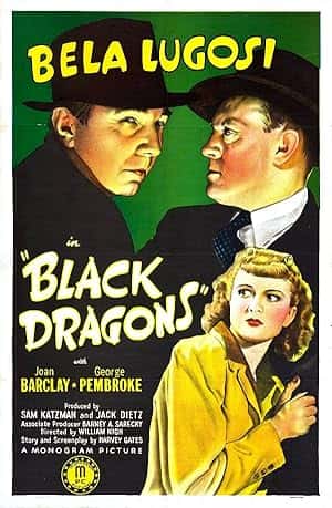 Black Dragons