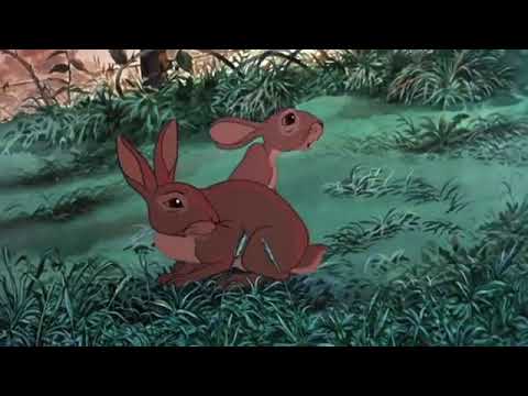 Watership Down