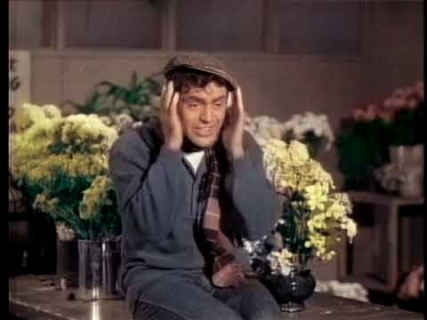 The Little Shop of Horrors