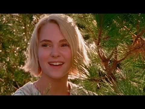 Bridge to Terabithia