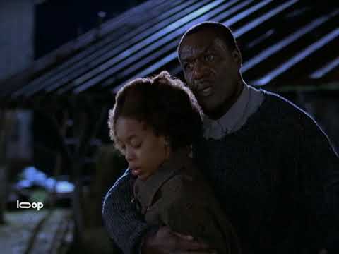 The Cider House Rules