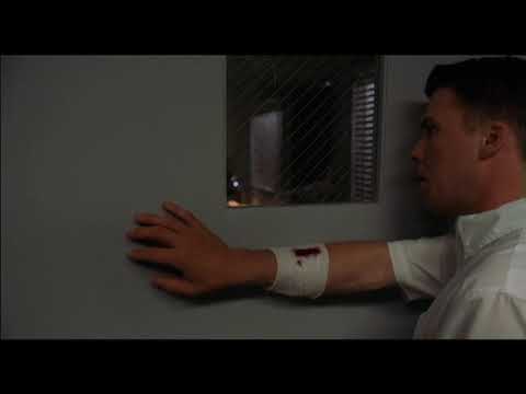 Day of the Dead 2: Contagium