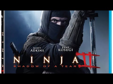 Ninja 2: Shadow of a Tear