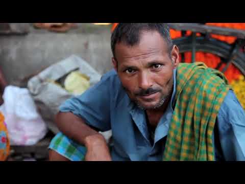 The Bengali Detective