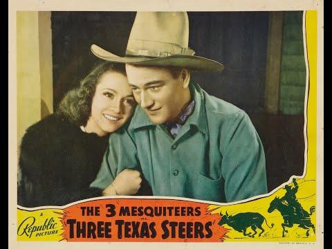 Three Texas Steers