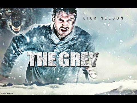 The Grey